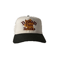 Bloom Thru Bricks Cap